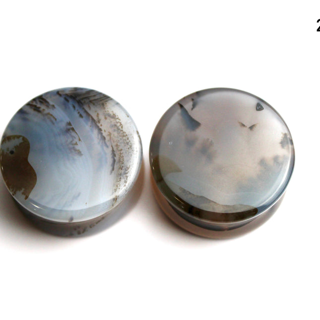 Dendritic Agate Double Flare Stone Plugs – Rare Natural Agate Gauges - Pick Your Pair