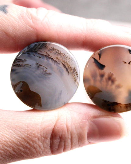 Dendritic Agate Double Flare Stone Plugs – Rare Natural Agate Gauges - Pick Your Pair