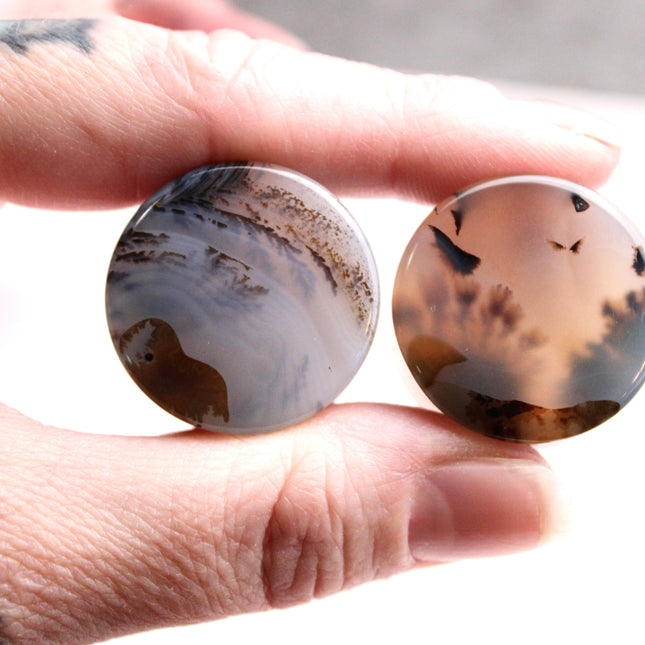 Dendritic Agate Double Flare Stone Plugs – Rare Natural Agate Gauges - Pick Your Pair