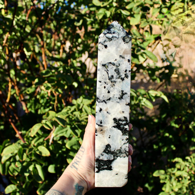 XL Rainbow Moonstone Tower – 3 lb, 11 Inch Tall Polished Crystal Point with Flash, Large Natural Stone Display Piece