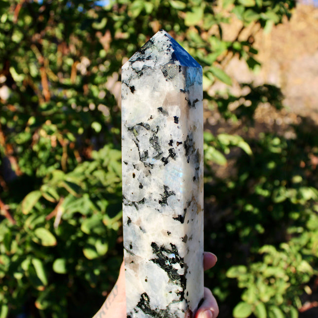 XL Rainbow Moonstone Tower – 3 lb, 11 Inch Tall Polished Crystal Point with Flash, Large Natural Stone Display Piece