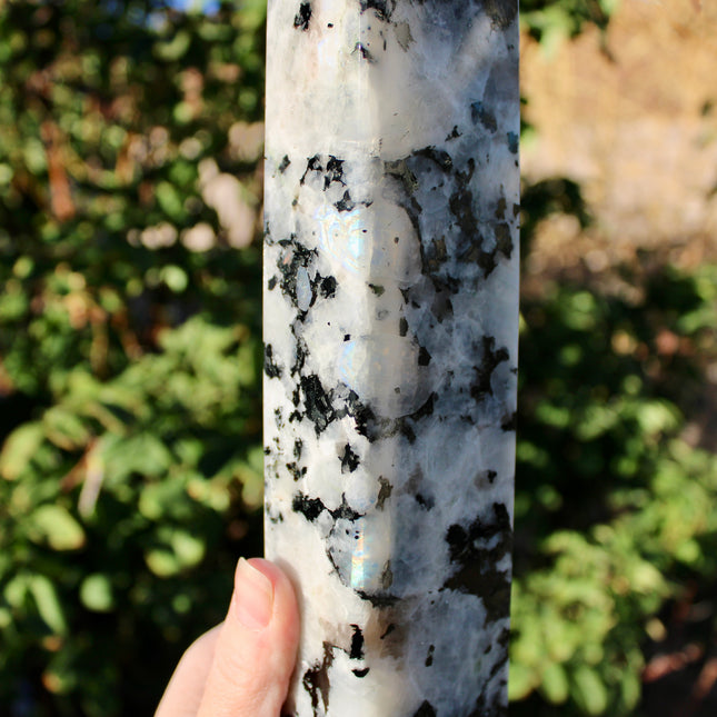 XL Rainbow Moonstone Tower – 3 lb, 11 Inch Tall Polished Crystal Point with Flash, Large Natural Stone Display Piece