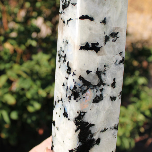 XL Rainbow Moonstone Tower – 3 lb, 11 Inch Tall Polished Crystal Point with Flash, Large Natural Stone Display Piece