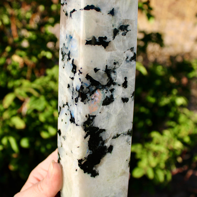 XL Rainbow Moonstone Tower – 3 lb, 11 Inch Tall Polished Crystal Point with Flash, Large Natural Stone Display Piece