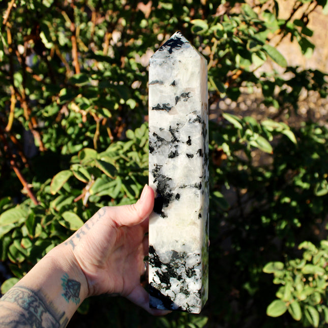 XL Rainbow Moonstone Tower – 3 lb, 11 Inch Tall Polished Crystal Point with Flash, Large Natural Stone Display Piece