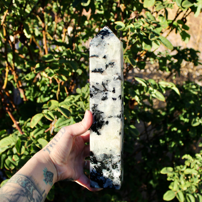 XL Rainbow Moonstone Tower – 3 lb, 11 Inch Tall Polished Crystal Point with Flash, Large Natural Stone Display Piece