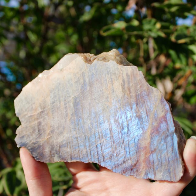Moonstone Slab – High Flash Polished Crystal Slice (Natural Rainbow Moonstone Display Piece)