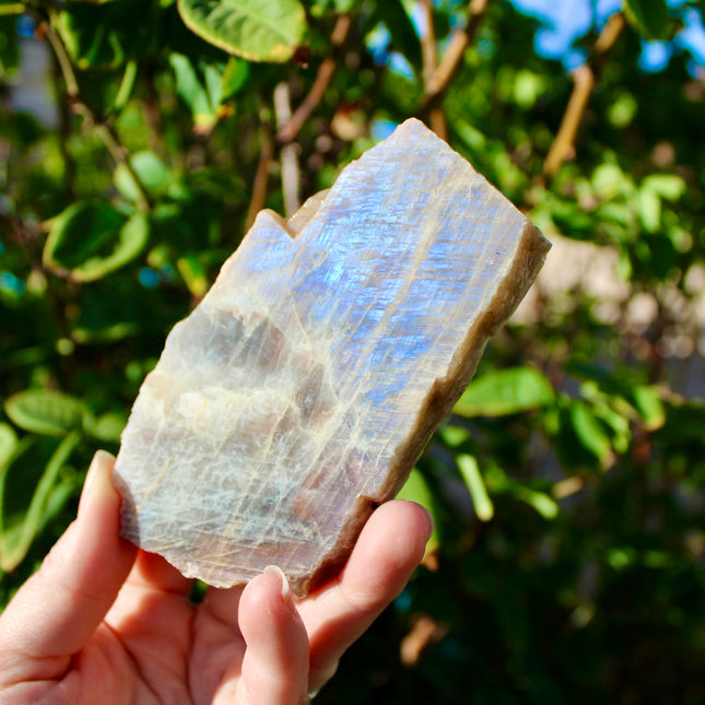 Moonstone Slab – High Flash Polished Crystal Slice (Natural Rainbow Moonstone Display Piece)