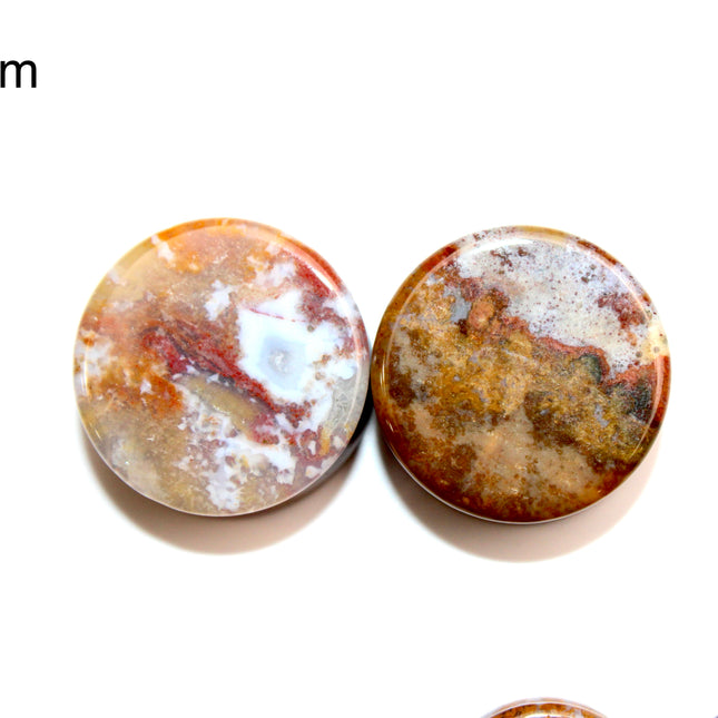Yellow and Red Moss Agate Plugs - Custom Double Flare Natural Stone Gauges -You Pick -Limited Sizes