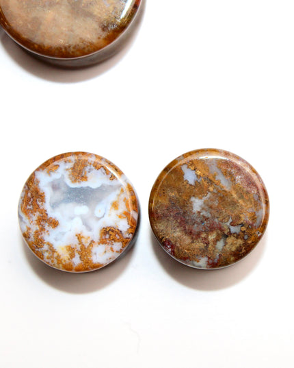 Yellow and Red Moss Agate Plugs - Custom Double Flare Natural Stone Gauges -You Pick -Limited Sizes