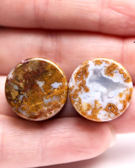 Yellow and Red Moss Agate Plugs - Custom Double Flare Natural Stone Gauges -You Pick -Limited Sizes