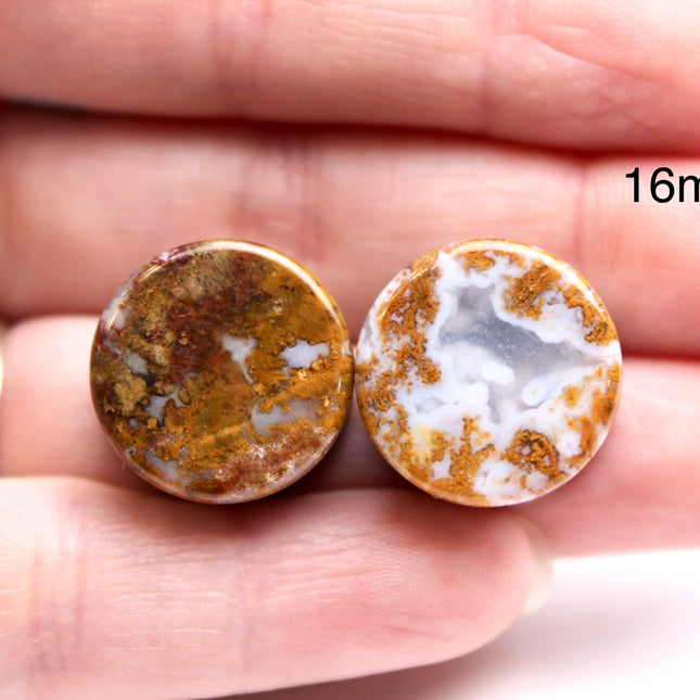 Yellow and Red Moss Agate Plugs - Custom Double Flare Natural Stone Gauges -You Pick -Limited Sizes