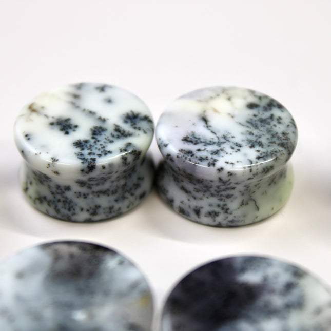 Dendritic Agate Double Flare Stone Plugs – Rare Natural Agate Gauges