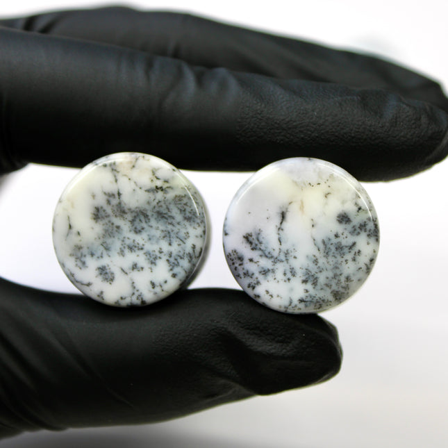 Dendritic Agate Double Flare Stone Plugs – Rare Natural Agate Gauges