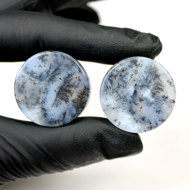 Dendritic Agate Double Flare Stone Plugs – Rare Natural Agate Gauges