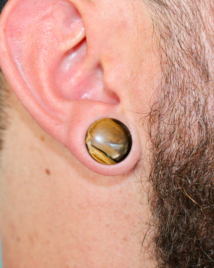 SINGLE FLARE TIGER EYE STONE PLUGS Pair - EC Plugs