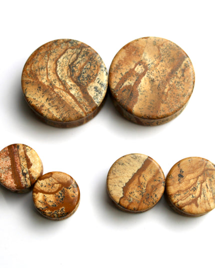 Picture Jasper Stone Double Flare Plugs 