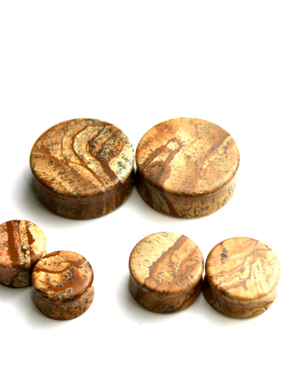 Picture Jasper Stone Double Flare Plugs 