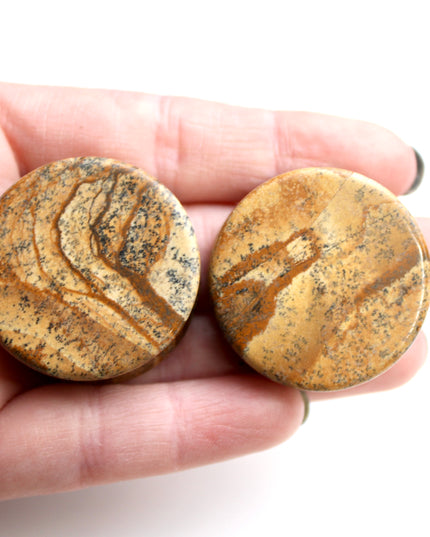 Picture Jasper Stone Double Flare Plugs 