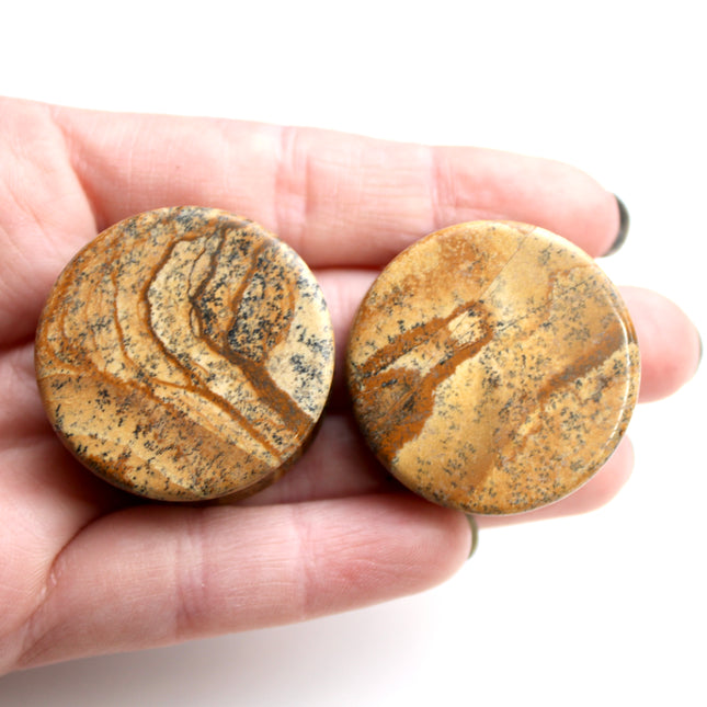 Picture Jasper Stone Double Flare Plugs 