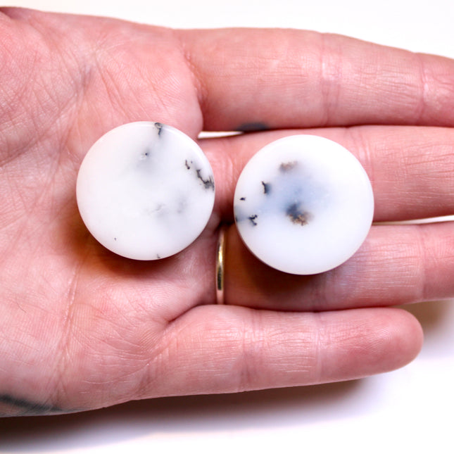 White Dendritic Agate Stone Double Flares for Gauged Ears