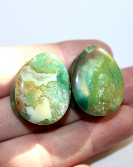 Fall Moss Agate Stone Teardrop Plugs Pair