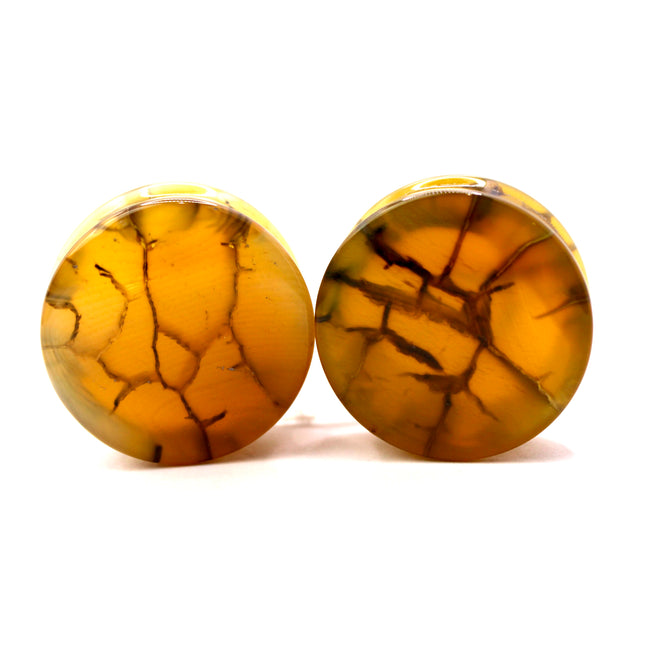 These Yellow and Black Dragon Vein Agate Plugs offer a striking blend of color and texture, featuring polished surfaces and natural-looking crackle patterns. Designed in a secure double flare style, they’re a bold and stylish option for stretched ears.