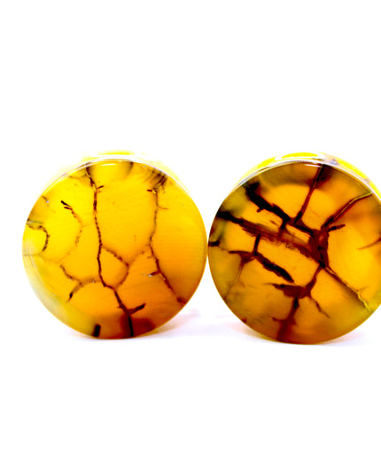 These Yellow and Black Dragon Vein Agate Plugs offer a striking blend of color and texture, featuring polished surfaces and natural-looking crackle patterns. Designed in a secure double flare style, they’re a bold and stylish option for stretched ears.