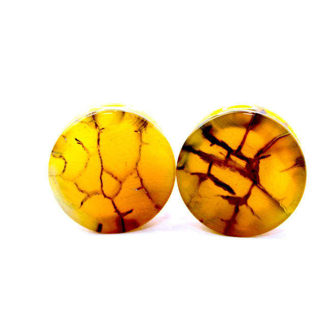 These Yellow and Black Dragon Vein Agate Plugs offer a striking blend of color and texture, featuring polished surfaces and natural-looking crackle patterns. Designed in a secure double flare style, they’re a bold and stylish option for stretched ears.