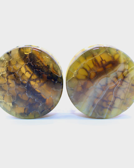 These Yellow and Black Dragon Vein Agate Plugs offer a striking blend of color and texture, featuring polished surfaces and natural-looking crackle patterns. Designed in a secure double flare style, they’re a bold and stylish option for stretched ears.