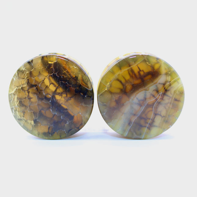 These Yellow and Black Dragon Vein Agate Plugs offer a striking blend of color and texture, featuring polished surfaces and natural-looking crackle patterns. Designed in a secure double flare style, they’re a bold and stylish option for stretched ears.