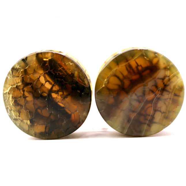 These Yellow and Black Dragon Vein Agate Plugs offer a striking blend of color and texture, featuring polished surfaces and natural-looking crackle patterns. Designed in a secure double flare style, they’re a bold and stylish option for stretched ears.