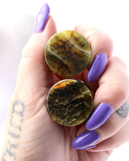 These Yellow and Black Dragon Vein Agate Plugs offer a striking blend of color and texture, featuring polished surfaces and natural-looking crackle patterns. Designed in a secure double flare style, they’re a bold and stylish option for stretched ears.