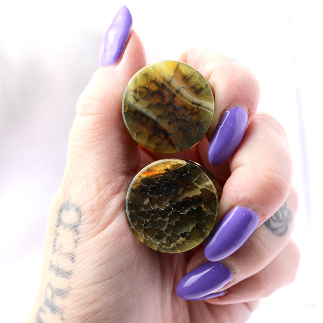 These Yellow and Black Dragon Vein Agate Plugs offer a striking blend of color and texture, featuring polished surfaces and natural-looking crackle patterns. Designed in a secure double flare style, they’re a bold and stylish option for stretched ears.