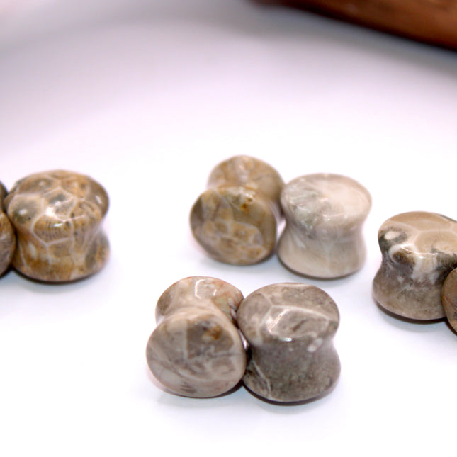 Indonesian fossilized coral EC Plugs