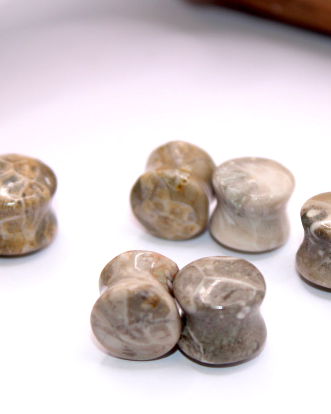 Indonesian fossilized coral EC Plugs