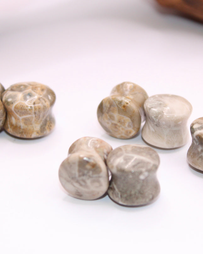 Indonesian fossilized coral EC Plugs and Gems