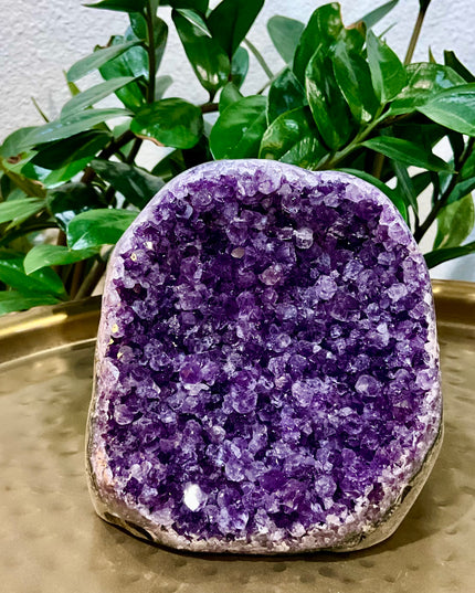 A stunning Amethyst Druzy Cluster Geode Cathedral stands tall with a graceful, arched silhouette reminiscent of gothic architecture. The front face reveals a deep cavern densely lined with sparkling violet and lavender druzy crystals, each point catching the light to create a glittering, celestial effect. The interior displays rich gradients of purple, fading into soft quartz and smoky undertones near the edges. 
