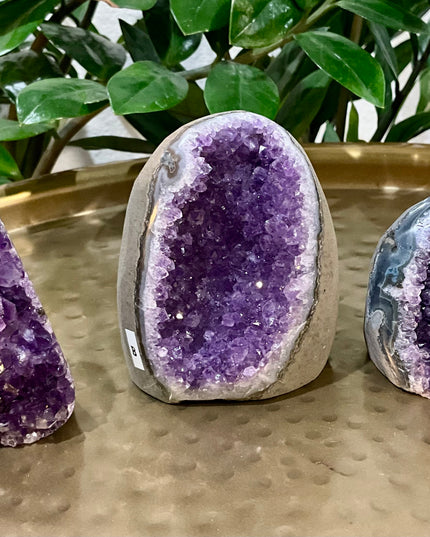 A stunning Amethyst Druzy Cluster Geode Cathedral stands tall with a graceful, arched silhouette reminiscent of gothic architecture. The front face reveals a deep cavern densely lined with sparkling violet and lavender druzy crystals, each point catching the light to create a glittering, celestial effect. The interior displays rich gradients of purple, fading into soft quartz and smoky undertones near the edges.  Druzy