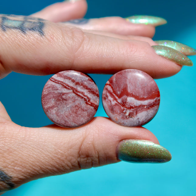 Red Zebra Jasper Plugs
