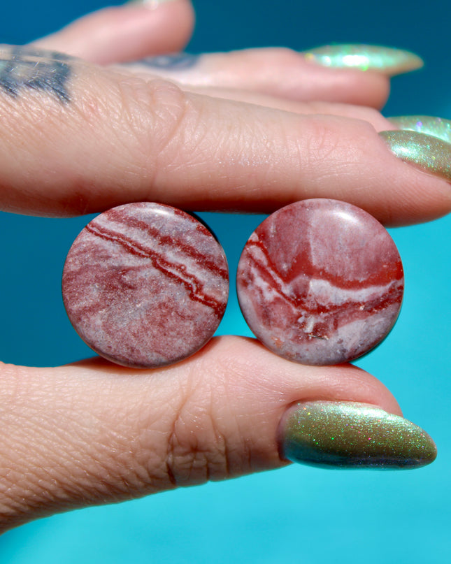 Red Zebra Jasper Plugs