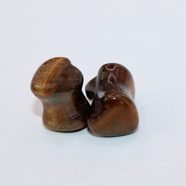 Tigers eye plugs