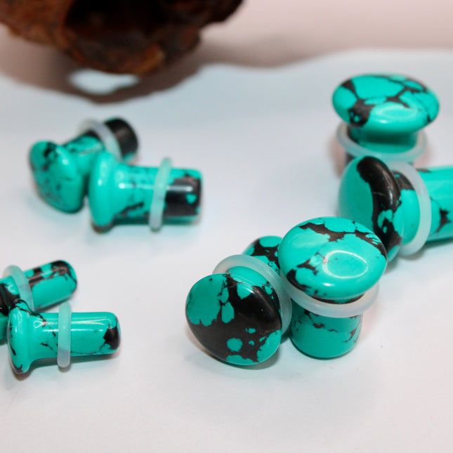 Turquoise howlite single flare plugs