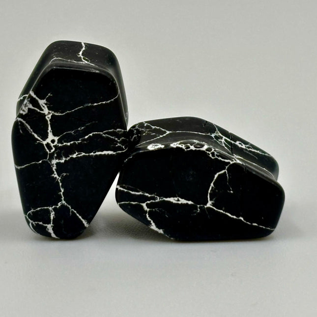 Zebra Marble Coffin Plugs - EC Plugs