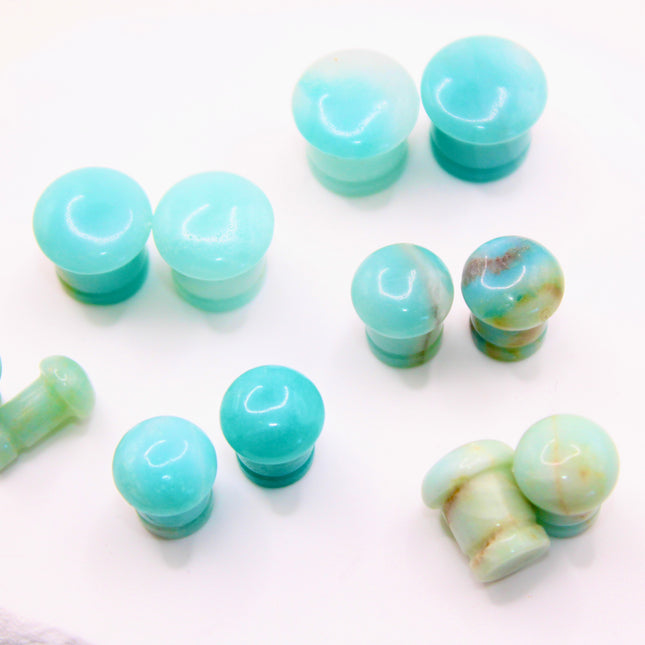 A beautifully fossilized pair of Ammonite Single Flare Plugs rests on a warm-toned background, showcasing the intricate spiral patterns of ancient marine life. Each plug is carefully carved from real ammonite fossils, revealing natural chambers in warm shades of caramel, amber, and deep brown, sometimes accented with hints of iridescent sheen. The surface is smoothly polished, allowing the fossil’s unique structure to shine through. Designed with a single flare and fitted with O-rings