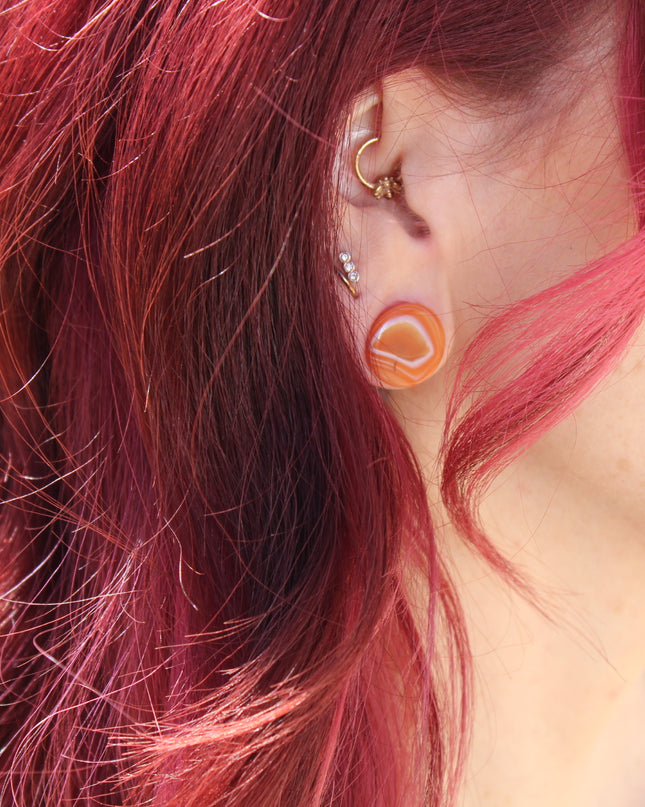 Carnelian Agate Double Flare Plugs - EC Plugs