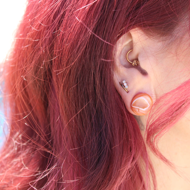 Carnelian Agate Double Flare Plugs - EC Plugs