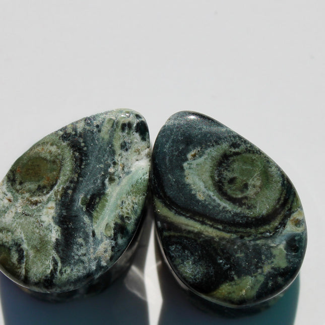 A captivating pair of Green Eye Jasper Teardrop Plugs rests gracefully on a natural backdrop. Each plug is carved into a smooth teardrop shape, showcasing earthy green tones swirled with intricate patterns of dark forest, moss, and soft olive hues. Subtle circular “eye” formations appear in the stone’s natural marbling, giving each piece a mysterious and organic feel. The polished surface enhances the depth and detail of the stone, while the teardrop shape offers a unique fit and bold silhouette.