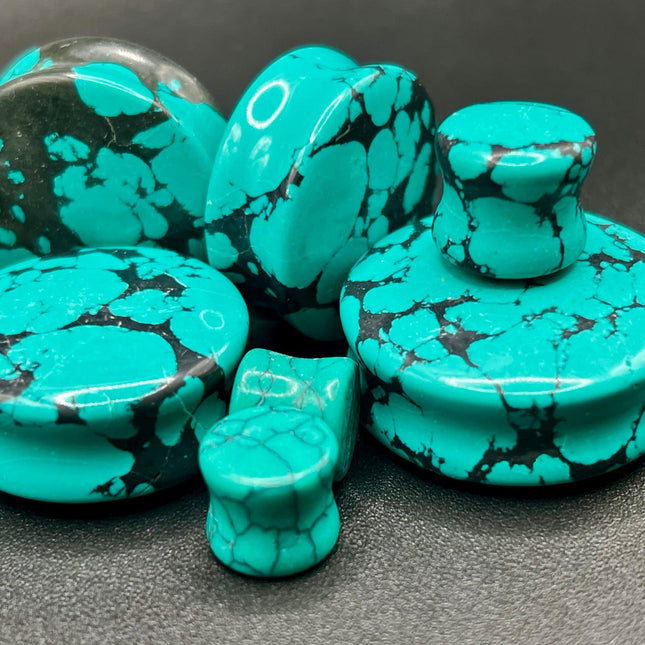 howlite turquoise plugs