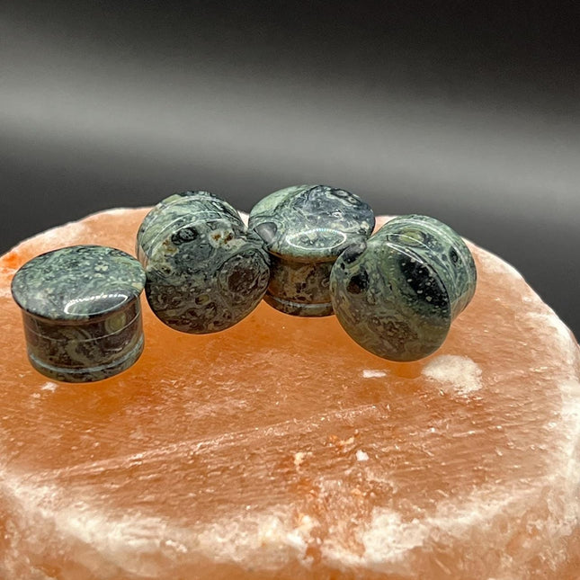 Green Eye Jasper Plugs - Gauges Single Flare